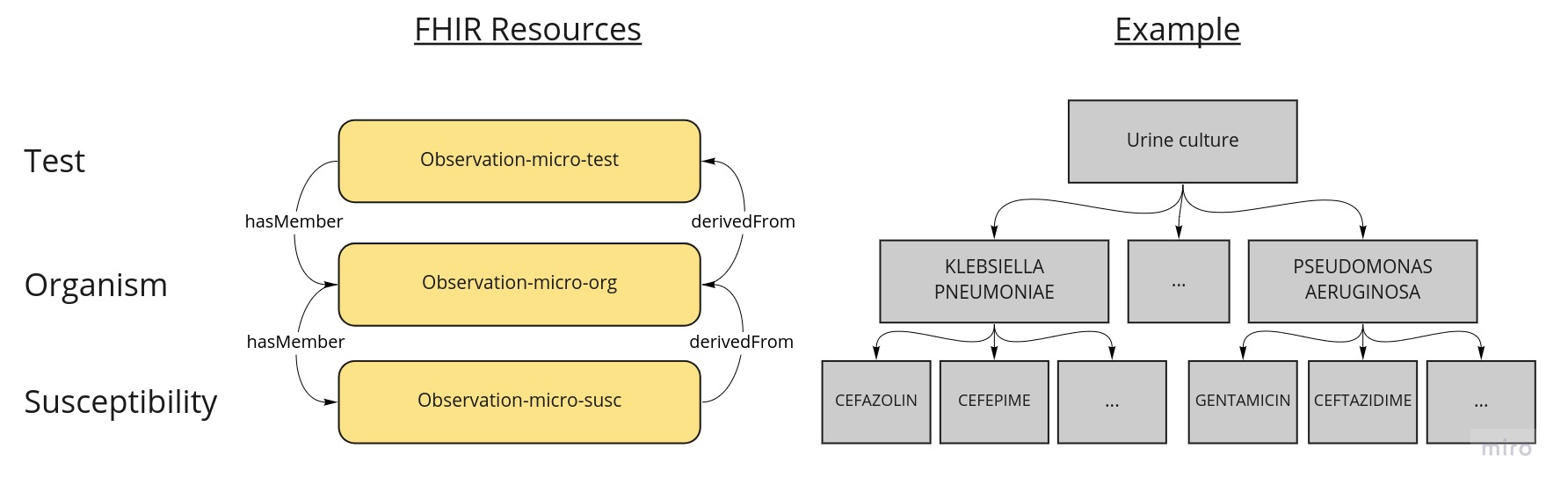 microbiology-mapping.jpg